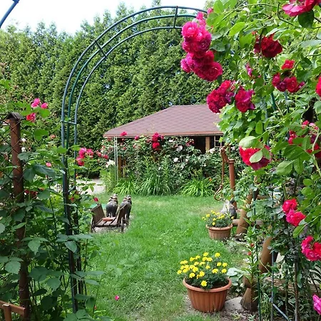 Danuta