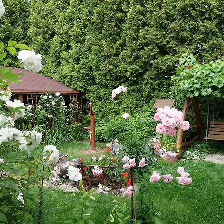Danuta Apartment