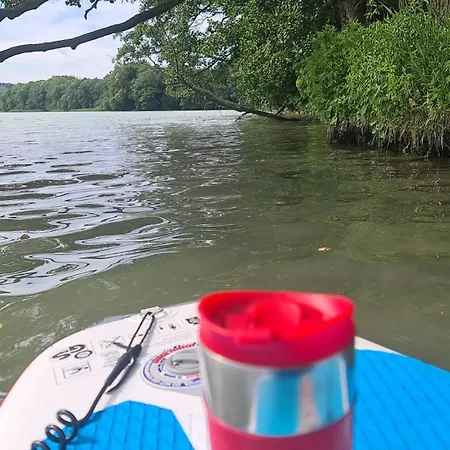 Danuta مارونجوفو