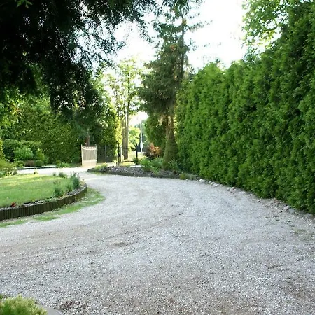 Danuta